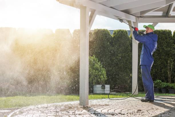Best Playground Equipment Cleaning  in Forestville, CA