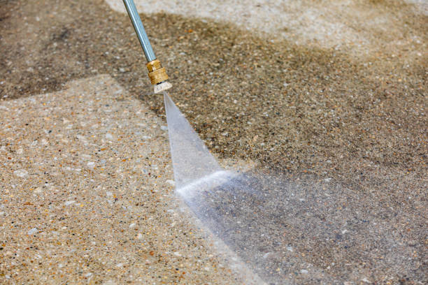 Best Animal Enclosure Cleaning  in Forestville, CA