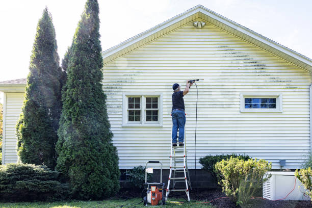 Best Gutter Cleaning  in Forestville, CA